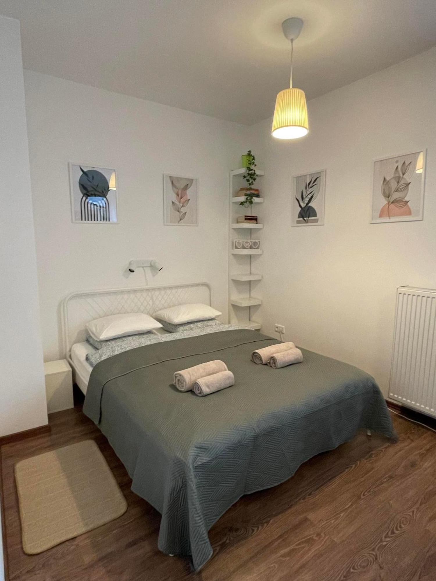 Green City Apartment Budapest - Free Garage, Ac, Balcony, Wi-Fi Будапешт Экстерьер фото